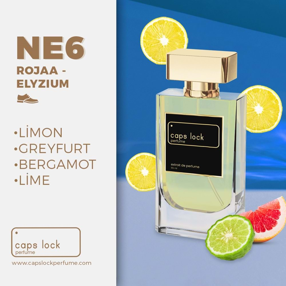 CAPS LOCK PERFUME NE6-(Roja- Elysium Muadili) 55 ml.