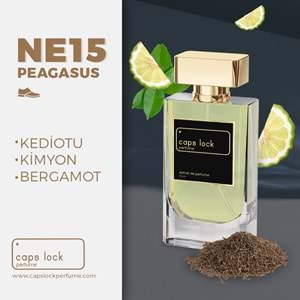 CAPS LOCK PERFUME NE15-(Parfums De Marly-Pegasus Muadili) 55 ml.